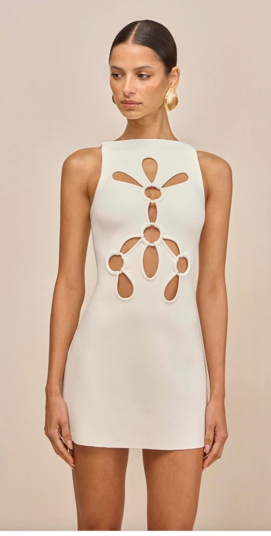Cult Gaia Dress